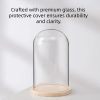 Eternal Rose LED Light in Glass Dome for Romantic Gifts