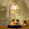 Eternal Rose LED Light in Glass Dome for Romantic Gifts