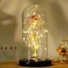 Eternal Rose LED Light in Glass Dome for Romantic Gifts