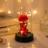 Eternal Rose LED Light in Glass Dome for Valentine's Day and Special Gifts