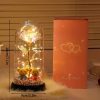Eternal Rose LED Light in Glass Dome for Valentine's Day and Special Gifts