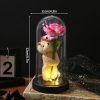 Eternal Rose LED Light with Acrylic Cover Romantic Desktop Flower Decoration