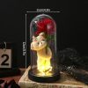 Eternal Rose LED Light with Acrylic Cover Romantic Desktop Flower Decoration