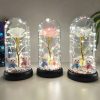 Eternal Rose LED Light with Acrylic Cover Romantic Desktop Flower Decoration