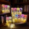 Eternal Rose LED Light with Acrylic Cover Romantic Desktop Flower Decoration