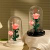Eternal Rose Luminous Ornament for Home Decoration and Gifts