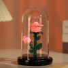 Eternal Rose Luminous Ornament for Home Decoration and Gifts