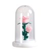 Eternal Rose Luminous Ornament for Home Decoration and Gifts