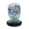 Eternal Rose Starry Glass Dome Decor