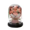 Eternal Rose Starry Glass Dome Decor