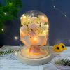 Eternal Rose Starry Glass Dome Decor