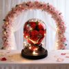 Eternal Rose Starry Glass Dome Decor
