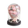 Eternal Rose Starry Glass Dome Decor