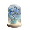 Eternal Rose Starry Glass Dome Decor