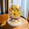Eternal Rose Starry Glass Dome Decor