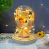 Eternal Rose Starry Glass Dome Decor