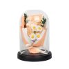 Eternal Rose Starry Glass Dome Decor