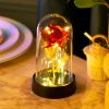 Eternal Rose with Galaxy LED Light in Glass Dome for Home Decor and Gifts