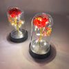 Eternal Rose with Galaxy LED Light in Glass Dome for Home Decor and Gifts