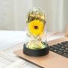 Everlasting Rose LED Glass Dome Bouquet