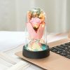 Everlasting Rose LED Glass Dome Bouquet