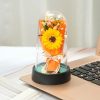 Everlasting Rose LED Glass Dome Bouquet
