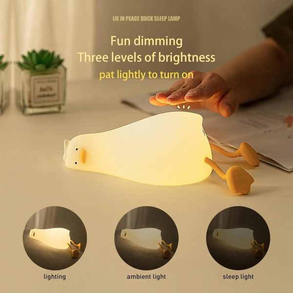 Flat Duck Lamps