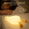 Flat Duck Lamps