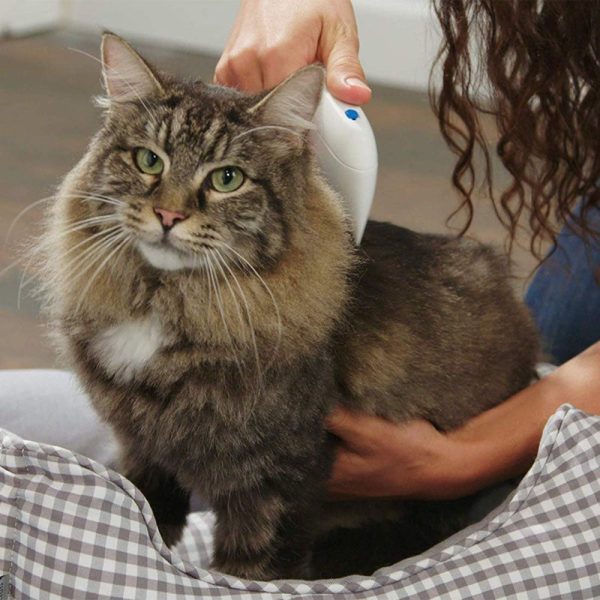Flea Doctor Electric Flea Comb Vibrating Flea Removal for Pets