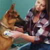 Flea Doctor Electric Flea Comb Vibrating Flea Removal for Pets