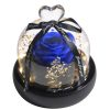 Forever Preserved Rose in Glass with Lamp for Valentine and Special Occasions