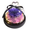 Forever Preserved Rose in Glass with Lamp for Valentine and Special Occasions