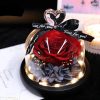 Forever Preserved Rose in Glass with Lamp for Valentine and Special Occasions