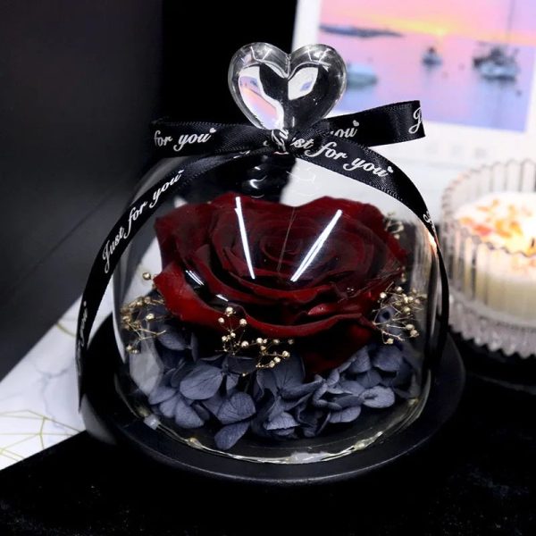 Forever Preserved Rose in Glass with Lamp for Valentine and Special Occasions