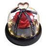 Forever Preserved Rose in Glass with Lamp for Valentine and Special Occasions