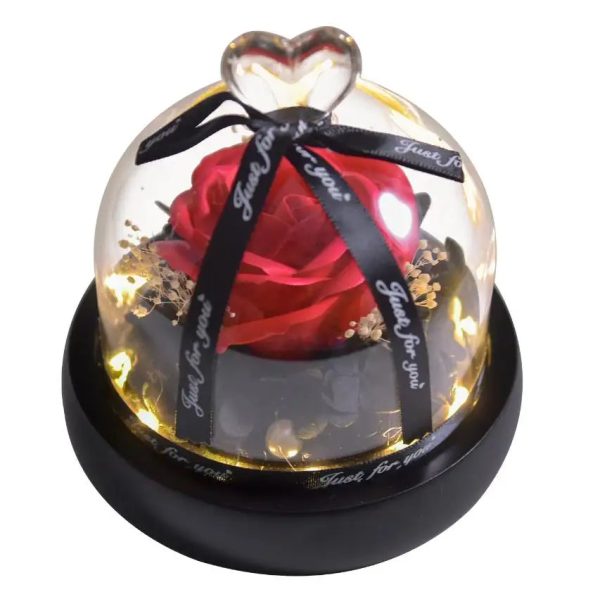 Forever Preserved Rose in Glass with Lamp for Valentine and Special Occasions