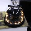 Forever Preserved Rose in Glass with Lamp for Valentine and Special Occasions
