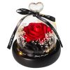 Forever Preserved Rose in Glass with Lamp for Valentine and Special Occasions