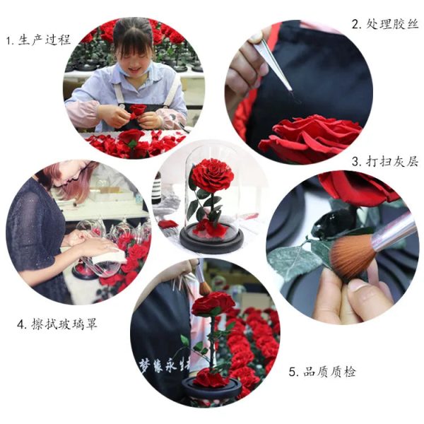 Forever Preserved Rose in Glass with Lamp for Valentine and Special Occasions