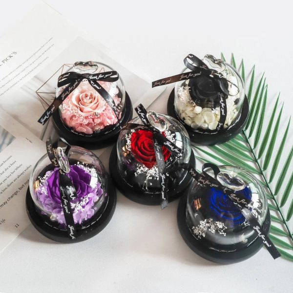 Forever Preserved Rose in Heart Glass Dome with LED Light for Valentine and Special Occasions