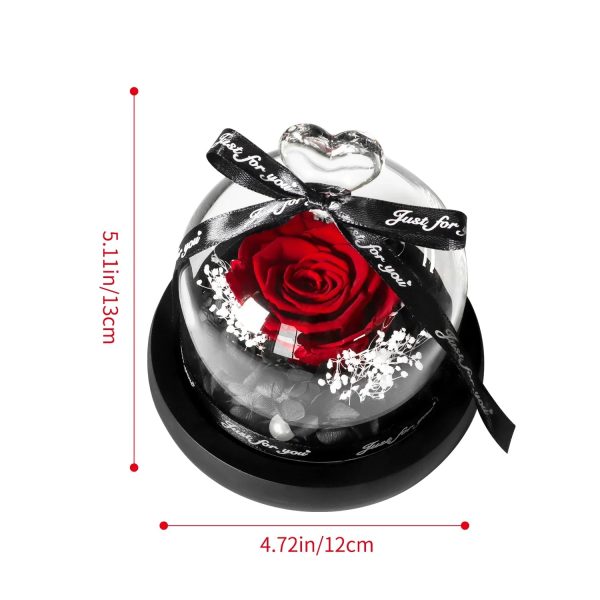Forever Preserved Rose in Heart Glass Dome with LED Light for Valentine and Special Occasions