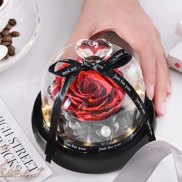 Forever Preserved Rose in Heart Glass Dome with LED Light for Valentine and Special Occasions