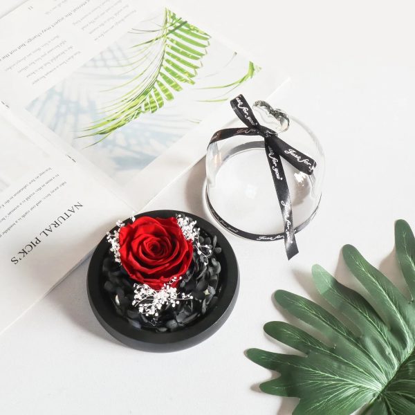Forever Preserved Rose in Heart Glass Dome with LED Light for Valentine and Special Occasions
