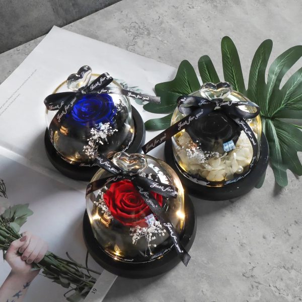 Forever Preserved Rose in Heart Glass Dome with LED Light for Valentine and Special Occasions