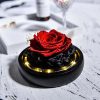 Forever Rose in Glass Dome with LED Light for Valentine and Special Occasions
