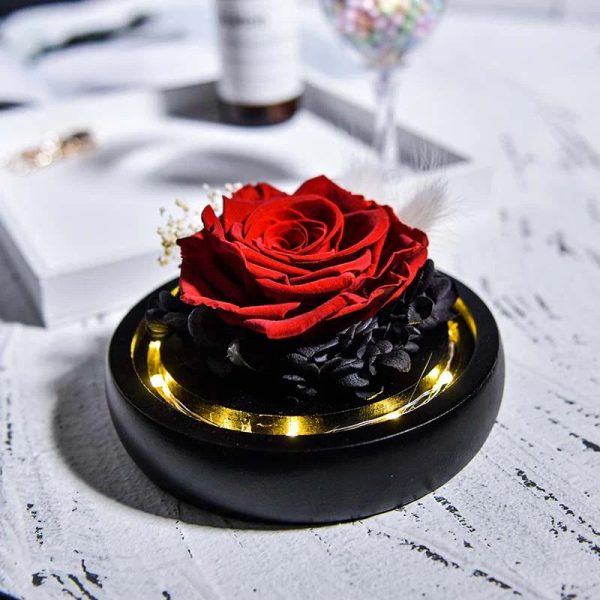 Forever Rose in Glass Dome with LED Light for Valentine and Special Occasions