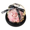 Forever Rose in Glass Dome with LED Light for Valentine and Special Occasions