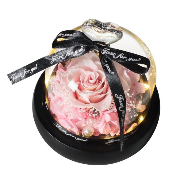 Forever Rose in Glass Dome with LED Light for Valentine and Special Occasions