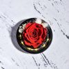 Forever Rose in Glass Dome with LED Light for Valentine and Special Occasions