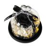 Forever Rose in Glass Dome with LED Light for Valentine and Special Occasions